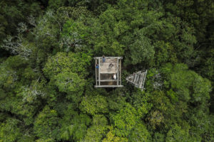 玛雅生物圈保护区的Uaxactun特许经营中的塔楼的鸟瞰图被社区成员用于监测森林大火。