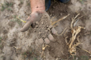 2012年干旱期间，堪萨斯州一位农民在筛选干旱的表土。