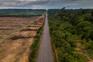 森林砍伐br - 163号高速公路从Cuiaba到圣塔伦,巴西。