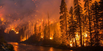 在2014年在华盛顿州的一条河边旁边森林火焰燃烧着。