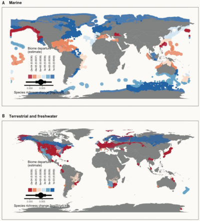 生态系统物种丰富度的变化，蓝色代表物种多样性增加的区域，红色和粉色代表物种多样性下降的区域。
