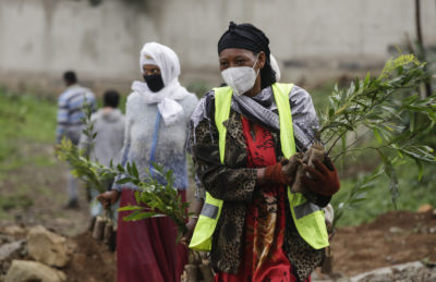 去年6月，参加埃塞俄比亚在亚的斯亚贝巴举行的埃塞俄比亚大众种植运动的妇女。埃塞俄比亚旨在在三个月内种植50亿个幼苗。