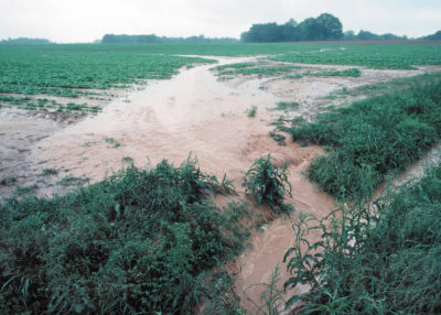 在暴风雨之后，水从田纳西州的一个农场流出。科学家们将气候促进的雨雨事件可能会增加美国水道的径流氮。