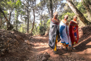 肯尼亚基里西亚森林中的桑布鲁妇女。