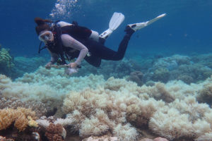 俄耳甫斯岛附近的一个研究员,澳大利亚确认珊瑚白化上个月在空中调查。