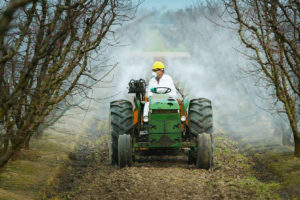 特朗普时代的环境保护局否决了一项禁止农药毒死蜱(chlorpyrifos)的提议，毒死蜱被用于60多种作物。