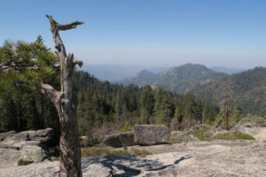 从加利福尼亚红杉国家公园的甲壳虫岩的景色。烟雾含有高水平的臭氧，从圣华金山谷吹进来。
