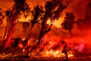 11月1日，消防员在加州圣保拉扑灭玛丽亚大火。
