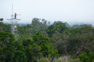 这是一个研究塔，是巴西亚马逊face项目的一部分，科学家在这里测量森林对气候变化的反应。