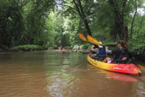上个月，博物学家和学生皮划艇的探险队在库珀河上进行了皮划艇。