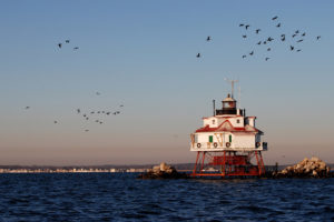 历史悠久的托马斯点浅滩光局在Chesapeake湾附近的Chesapeake湾，马里兰州附近。