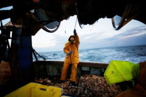 法国拖网渔船上的一名渔民正在整理捕获的比目鱼和鲭鱼。