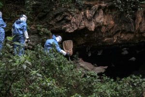 研究人员2018年在乌干达进入一个山洞收集蝙蝠携带致命的马尔堡病毒。