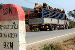 木材通过老挝北部的卢南塔省运往中国边境。