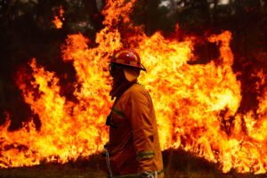 11月，澳大利亚悉尼，一队消防队员正在努力控制大火。