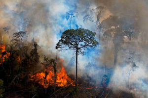 8月15日，巴西巴西巴西巴西巴西的亚马逊非法点燃的烟雾升起。