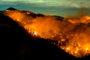 山猫大火于9月17日通过南加州的安吉利斯国家森林燃烧。