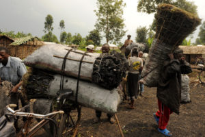 这是刚果民主共和国北基伍省的木炭经销商，那里的木炭大部分来自维龙加国家公园的树木。