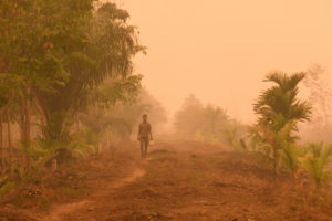 村民在印度尼西亚苏门答腊州苏门答腊的油棕榈种植园，从烧焦的泥潭的火灾中散步。