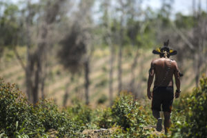瓜拉尼人走过一块清除的巴西大西洋森林,当地的原住民社区正试图重新造林。