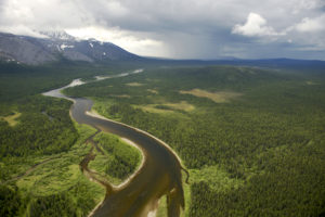 俄罗斯科米共和国北部乌拉尔山脉的维尔京森林。