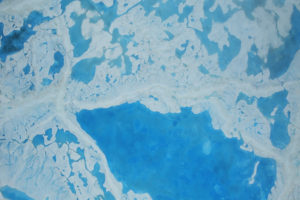 在2016年7月的北极海冰顶部的熔融水。