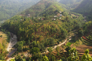 树木生长在尼泊尔古米地区以前的梯田上。