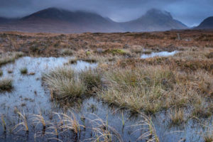 苏格兰斯凯岛上的泥炭沼泽。