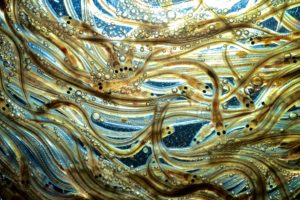 玻璃鳗在玻璃盘中蠕动，照亮，在这个生活阶段显示他们的透明度。这些养殖鳗鱼在缅因州的一个盒子里。