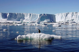 南极洲东部Adélie陆地海岸正在融化的冰。