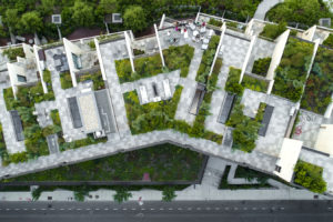 纽约市布鲁克林高地的屋顶花园。