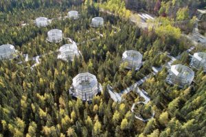 明尼苏达州北部的Marcell实验森林。科学家正在模拟这些玻璃室中的不同气候，以更好地了解北方森林将如何应对温度升高。