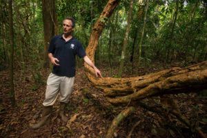 生态学家Stefan Schnitzer和藤本植物，一种木质丛林藤本植物，在巴拿马的巴罗科罗拉多岛。