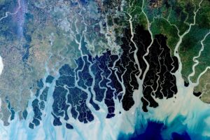 孟加拉国孙德尔本斯海岸森林的卫星图像，这是濒危的孟加拉虎的栖息地。