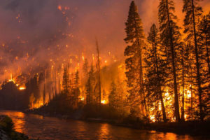 2014年，华盛顿州一条河边发生森林火灾。