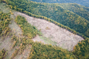 由森林管制委员会在罗马尼亚管理的森林的登录区域。
