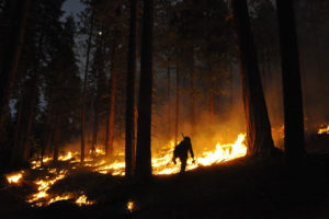 森林管理人员在加州的斯坦尼斯劳斯国家森林实施了这一规定的焚烧。
