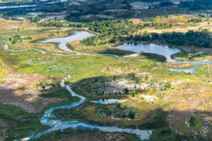 Okavango三角洲