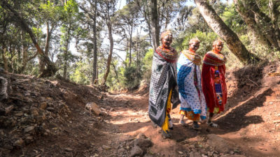 肯尼亚基里西亚森林里的桑布鲁妇女。