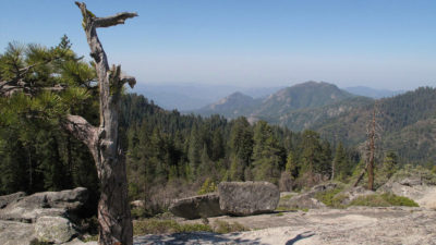 视图从岩石甲虫在红杉国家公园,加利福尼亚州。烟雾,含有高浓度的臭氧、吹的圣华金河谷。