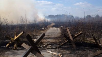 森林在Byshiv闷烧,乌克兰战斗后,2022年3月27日。