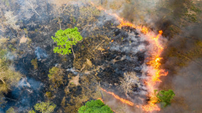鸟瞰图附近的金边金边野生动物保护区在柬埔寨北部。在旱季，数以百计的火灾肆虐全国，许多是由伐木工和农民引起的。