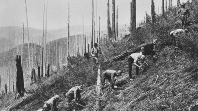 20世纪30年代，一个民间保护队的工作人员在爱达荷州的圣乔国家森林清理灌木丛和植物幼苗。