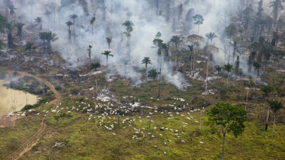 一套火来清理农地,帕拉州的在巴西亚马逊河。