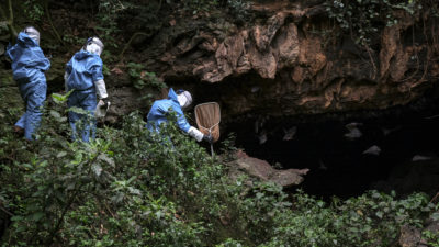 研究人员于2018年在乌干达进入一个洞穴，以收集携带致命马尔堡病毒的蝙蝠。