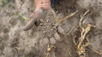 2012年干旱期间，堪萨斯州一位农民在筛选干旱的表土。