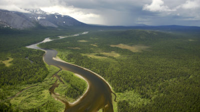 俄罗斯科米共和国北部乌拉尔山脉的维尔京森林。