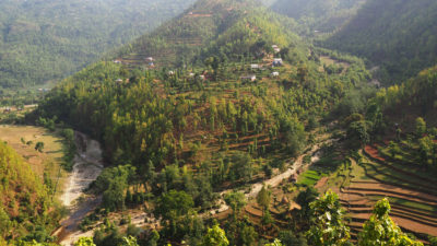 树木在尼泊尔古尔米区的以前的稻田上生长。