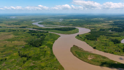 Rufiji河三角洲。