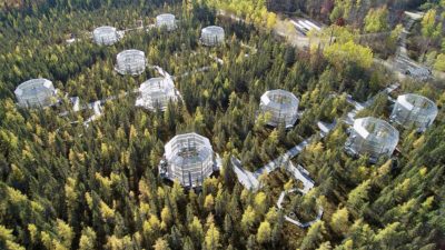 明尼苏达州北部的Marcell实验森林。科学家正在模拟这些玻璃室中的不同气候，以更好地了解北方森林将如何应对温度升高。